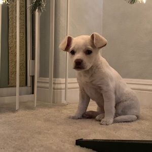 Meet your Posher, Emmanuel